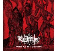 Regain Handmade Shoes – Zapatos Witch King – Voice of the ossuary