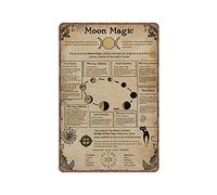 Witchcraft Knowledge Moon Magic Tin Signs, Witchcraft Witch Art, Witch Gift, Witch Funny Vintage Metal Sign Plaqu Poster Wall Art Pub Bar Cocina Jardín Baño Decoración del Hogar, 8 X 12 PULGADAS