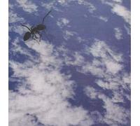 Witches, the - On Parade