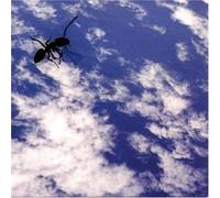 Witches, the - On Parade [Vinilo]