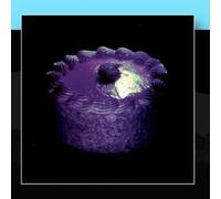 Witches, the - Universal Mall