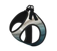 Within The Tides - Juego de arnés ajustable para gatos y perros, chaleco de malla suave y transpirable con diseño reflectante, correa a prueba de fugas para mascotas pequeñas, entrenamiento de