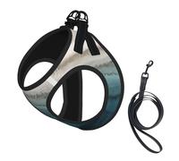 Within The Tides - Juego de arnés y correa para perros pequeños, chaleco suave ajustable con correas reflectantes de 360° para gatos y cachorros