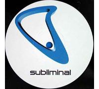 Without You / Only The Wild - Paul Woolford 12"