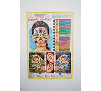 WitnyStore Póster de masaje facial y de oídos, hoja de enseñanza laminada, aprende varias técnicas de masaje y reflexología a través de imágenes con instrucciones en tailandés e inglés, 31 1/2 x 21