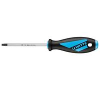 Witte 53300 - Destornillador 53306 torx seguridad T10