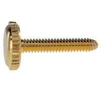 Wittner 441540701 - Tornillo de repuesto para violín y viola