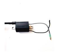 Wivplex Bobina de encendido B for motor barco T40-05090102, for Parsun, HDX 2 tiempos 40CV T40 T40BM T40BW T40G T30BM tipo G verde Interruptor de encendido para barco