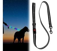 WIYETY Correa LED para perros, 1,2 m, recargable, con 9 modos de iluminación, seguridad para paseos nocturnos, correa de correr para perros, para mascotas grandes, medianas y grandes