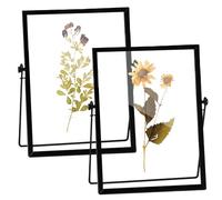 WIYETY Marco de fotos negro de doble cara: 2 piezas de 15 x 20 cm marco de fotos de vidrio para flores prensadas, escritorio de latón para colocar muestras de plantas, obra de arte, soporte para
