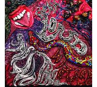 Wizard Rifle - Speak Loud Say Nothing