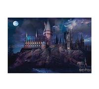 Wizarding World Póster de Harry Potter (Hogwarts), multicolor, 61 x 91,5 cm