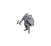 Wizkids - D&D Nolzurs Marvelous Miniatures 50th Anniversary - Dwarves (Limited Edition)