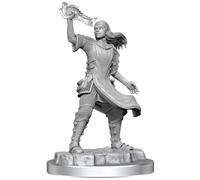 WizKids D&D Nolzur's Marvelous Miniatures: Aasimar Cleric Female
