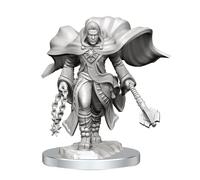 WizKids D&D Nolzur's Marvelous Miniatures: Aasimar Cleric Male Dungeons and Dragons Miniaturas