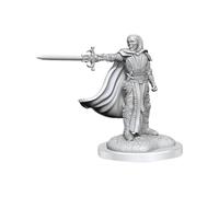 WizKids - D&D Nolzurs Marvelous Miniatures: Death Knights - Wave 20