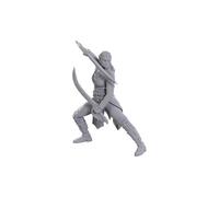 WizKids D&D Nolzur's Marvelous Miniatures: Edición Especial Baldur's Gate 3 (Jaheira y Halsin)
