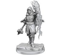 Wizkids D&D Nolzurs Marvelous Half-Elf Warlock Miniatures