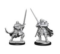 WizKids D&D Nolzur's Maravilloso Minis sin pintar: W15 Macho Paladín Medio Orco