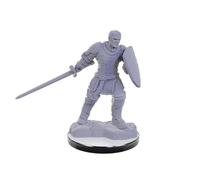 WizKids D&D Nolzur's Marvelous Miniatures: Reborn Paladin & Warlock Dungeons and Dragons Unpainted Miniatures