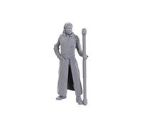 WizKids Miniaturas D&D Nolzurs – Edición especial Baldur's Gate 3 (Gale y Astarion)