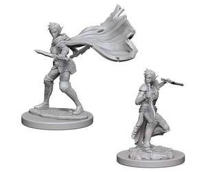 Wizkids Elf Female Rogue Pathfinder Deep Cuts Unpainted Miniatures