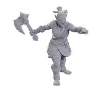 Wizkids - pathfinder battles deep cuts miniatures: lifeleecher brawler
