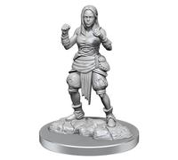 WizKids Pathfinder Deep Cuts: Medio Elfo Monje Mujer Pathfinder Miniaturas