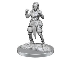 WizKids Pathfinder Deep Cuts: Medio Elfo Monje Mujer Pathfinder Miniaturas