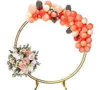 WJFTODAY Kit de Arco de Globo Redondo de Metal Resistente, Estante de Flores, Guirnalda dtas, vides, Estable y Duradero, no se caerá, Arco de Boda para Fiesta de cumpleaños en Interiores y Exteriores