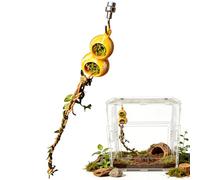 WJnflQN Accesorios para Mantes y Arañas Saltosas, Decoración Magnética de Terrario para Reptiles - Caverna de Escondite de Araña Saltadora, para Terrarios y Acuarios de Tarántulas, Mantes y