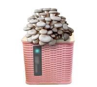 WJUHYGTF Kit De Cultivo Hongos Shiitake Orgánicos, Mini Bonsái Desove Micelio con Esporas Ostra, No Se Requiere Experiencia, Ideal para Principiantes, Adecuado Cualquier Ciudad Y Temporada,A