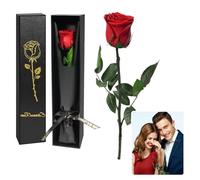 WJWINER La Bella Y La Bestia Rosa Eterna,Rosa Inmortal Regalo para Mujer,Rosa Inmortal con Tallo Regalo De Cumpleaños para Mujer, para El Día De San Valentín, Día De La Madre, Boda