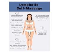 WJZJSVWTAU For the Biology Enthusiast Wall Decor - Artistic Rendering of the Human Lymphatic System - Unique Canvas Print for Home, Study(Framed,08x12inch(20x30cm))