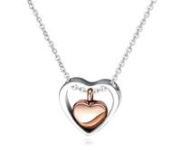 WKabnkn Delicado recipiente para cenizas de mascotas en forma de corazón que protege preciosos recuerdos para seres queridos que necesitan homenajes duraderos, joyería para perros y collares