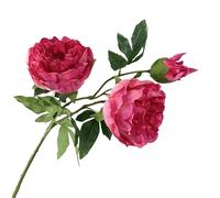 WLH Alexanders 3 uds Tallos de Flores Artificiales de peonía Tallo Largo peonías Falsas arreglo Floral Flores de peonía for decoración de florero for el hogar Flores artificiale(Dark Pink)
