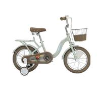 WLH Alexanders Coches de Juguete Bicicleta for niños de 12 a 18 Pulgadas con Ruedas de Entrenamiento y Asiento Trasero, con Freno y Cesta. Bicicleta con Ruedas(Groen,20in)