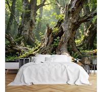 WLLDDDIU Gran Mural Mural de Pared de Bosque de Roble Antiguo, Papel Pintado Rústico Vintage Iluminado Por El Sol, Paisaje Natural, Papel Pintado Adhesivo Tamaño Personalizado para Dormitorio, Sal