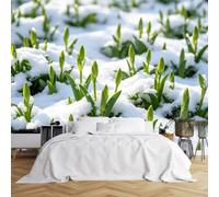 WLLDDDIU Papel Pintado Autoadhesivo, Capullos de Tulipanes de Nieve de Invierno, Murales de Pared para Jardines, Revestimiento Impermeable de Vinilo Extraíble para Dormitorio, Salón, Paredes de Ac