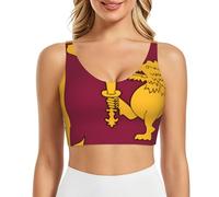 WMASTNjgdA The Jewish Flag - Brasier deportivo para mujer, sin costuras, cómodo, con almohadillas extraíbles, Bandera de Sri Lanka 10, Small