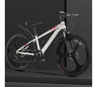 Wmmner Bikes,Mountain Bicycle With Shock Absorber Front Fork,Dual Disc Brakes,City Commuter Bike,Adjustable Saddle,Cruiser Bicycles,3 Wheel,7 Speeds Hybrid Bikes,For Traveling Grey 24Inch/Blancas/26 P