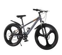 Wmmner Bikes,Mountain Bicycle With Shock Absorber Front Fork,Dual Disc Brakes,City Commuter Bike,Adjustable Saddle,Cruiser Bicycles,3 Wheel,7 Speeds Hybrid Bikes,For Traveling Grey 24Inch/Gris/24 Pulg