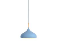 Wmmner Candelabro de Color Creativo Simple, Lámpara Colgante de Metal de Personalidad, Luz Colgante de una Sola Cabeza con Base E27, Accesorio de Luz de Techo de Altura Ajustable para Interiores para