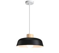Wmmner Color Chaners Simple Single Head Hanging Lamp, Modern Geometric Light Fixture, Nordic Extremely Simple Ceiling Light For Dining Rooms Bedroom Living Room Hallway/Negro/38 cm