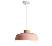 Wmmner Color Chaners Simple Single Head Hanging Lamp, Modern Geometric Light Fixture, Nordic Extremely Simple Ceiling Light For Dining Rooms Bedroom Living Room Hallway/Rosa/38 cm