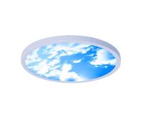 Wmmner Dimmable Led Flush Mount Ceiling Light With Remote Control, Blue & Clouds Ceiling Lighting Fixtures, Modern Ultra-Thin White Round Ceiling Lamp For Office Bedroom Living Room Kitchen(23Cm/un Co