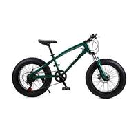 Wmmner Hardtail Mountain Bike 20 Inch For Women, Fat Tire Girls Mountain Bicycle With Front Suspension & Mechanical Disc Brakes, High Carbon Steel Frame & Adjustable Seat,Black,7 Speed/Verde/27 Veloci