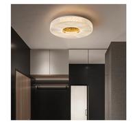 Wmmner Luminaria de Control Remoto, Lámpara de Techo Led Moderna de Lujo Rede Compatible con Decoración de Pasillo de Sala de Estar, Dormitorio, Balcón, Lámpara Colgante de Techo Led/un Color/40Cm