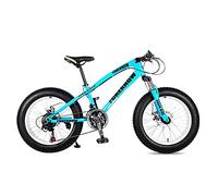 Wmmner Mountain Bike,Adult Road Bicycle 24 Inch 21/24/27 Speed Men Woman Oil Spfork Front Fork Ride Blue-20 21 Speed/Azul/26 21 Velocidad