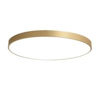 Wmmner Round Ultra-Thin Ceiling Lamp Energy Saving Creative Flat Lights Indoor Lighting Personalized Panel Lamp Recessed Installation Canopy Ceiling Lighting Fixtures For Kitchen Hallway Laundry/11.8I